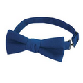 F43 Signature Royal Blue Bow Tie
